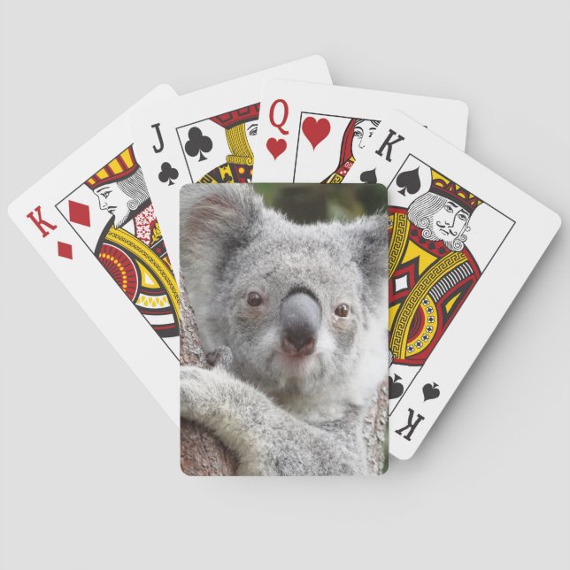 Australian Koala Playing Cards (Back)