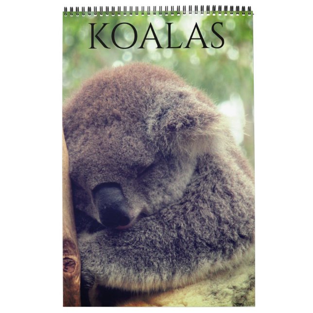 australian koalas 2026 calendar (Cover)