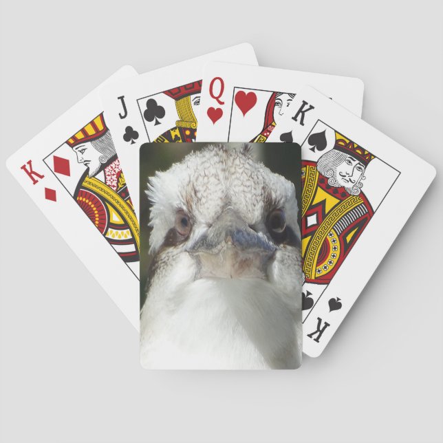 Australian Kookaburra Playing Cards (Back)
