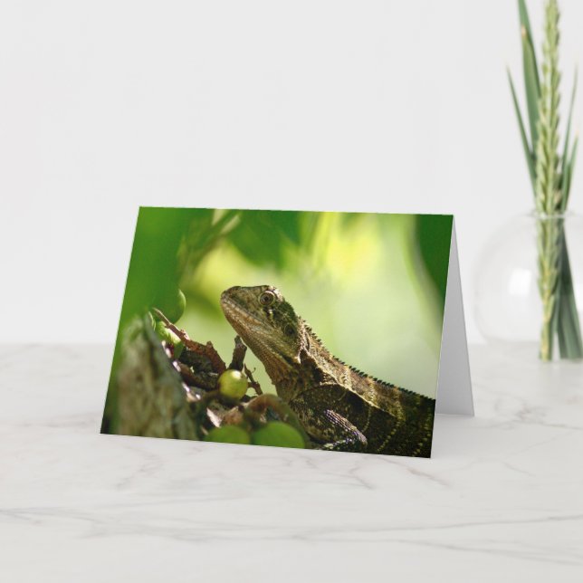 Australian lizard between leaves, Photo Greeting Card (Front)
