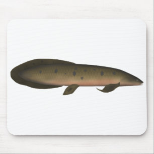 Australian Lungfish Mouse Mat