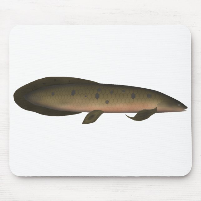 Australian Lungfish Mouse Mat (Front)