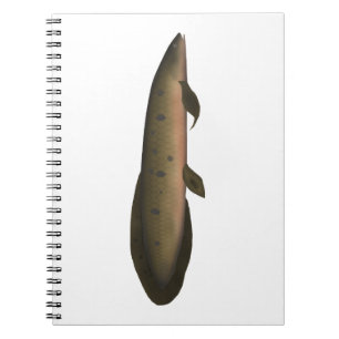 Australian Lungfish Notebook