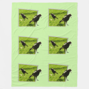 Australian Magpie Birds Popout Art, Fleece Blanket