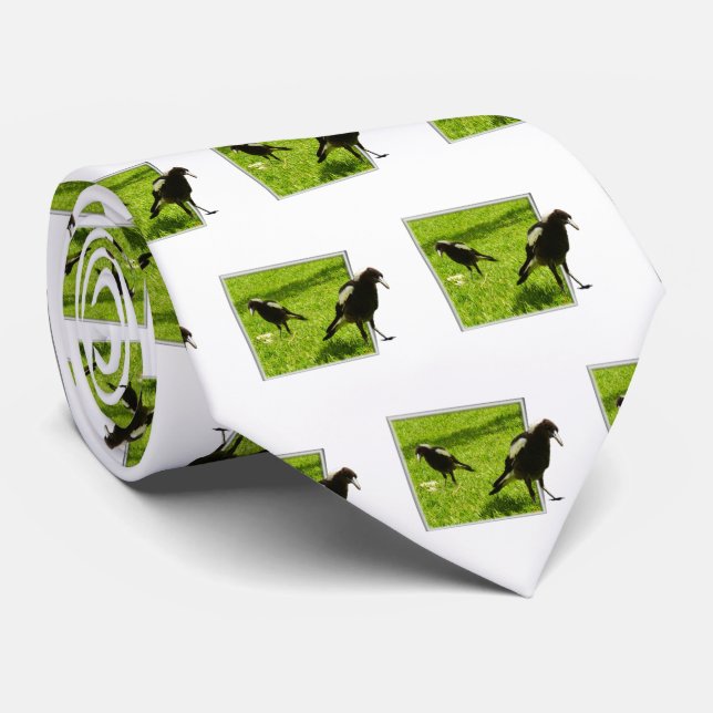 Australian Magpie Birds, Tie (Rolled)