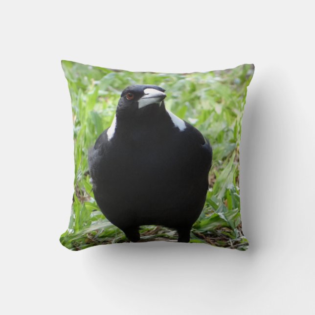 Australian Magpie Cushion (Front)