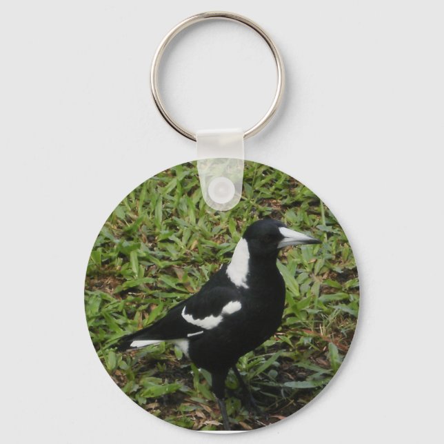 Australian Magpie keychain (Front)
