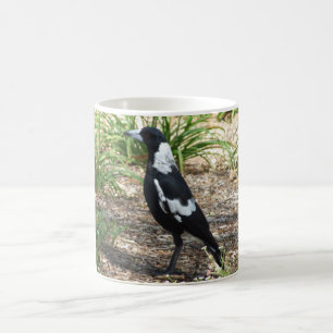 Australian Magpie Mug