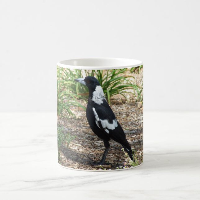 Australian Magpie Mug (Center)