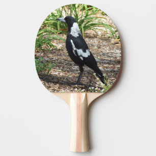 Australian Magpie Ping Pong Paddle