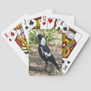 Australian Magpie Playing Cards