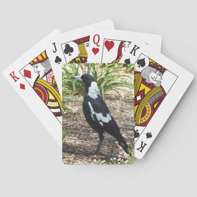 Australian Magpie Playing Cards (Back)