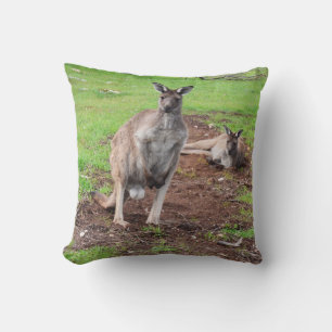 Australian Male Buck Kangaroo, Throw Cushion. Cushion