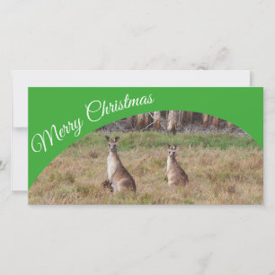 Australian Merry Christmas photo card