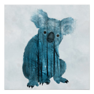 Australian Misty Forest Koala Poster