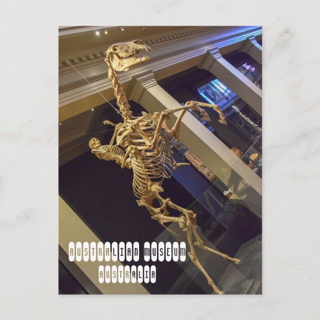 Australian Museum in Sydney Australia Postcard (Front)