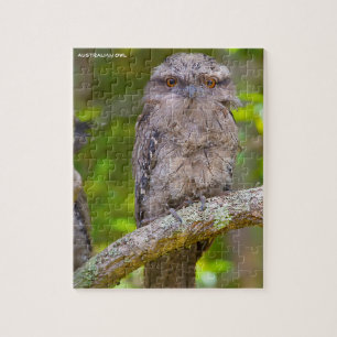 Australian Owl Jigsaw Puzzle