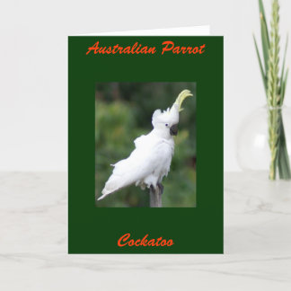 Australian Parrot, Cockatoo Card