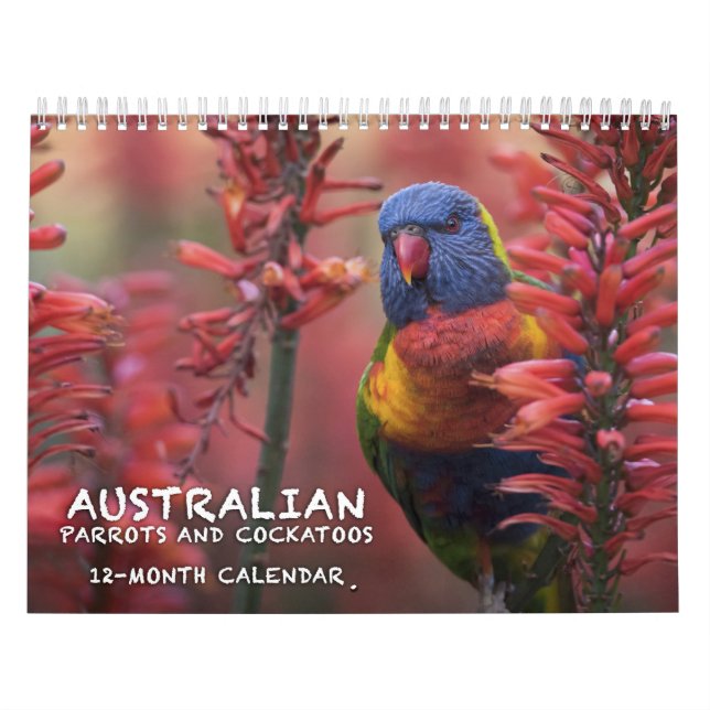 Australian Parrots & Cockatoos calendar - 3 sizes (Cover)