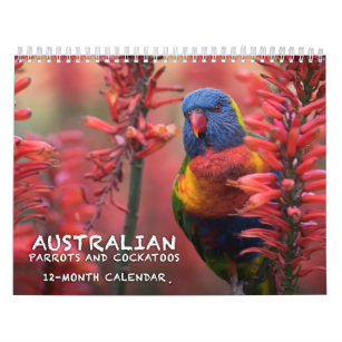 Australian Parrots & Cockatoos calendar - 3 sizes