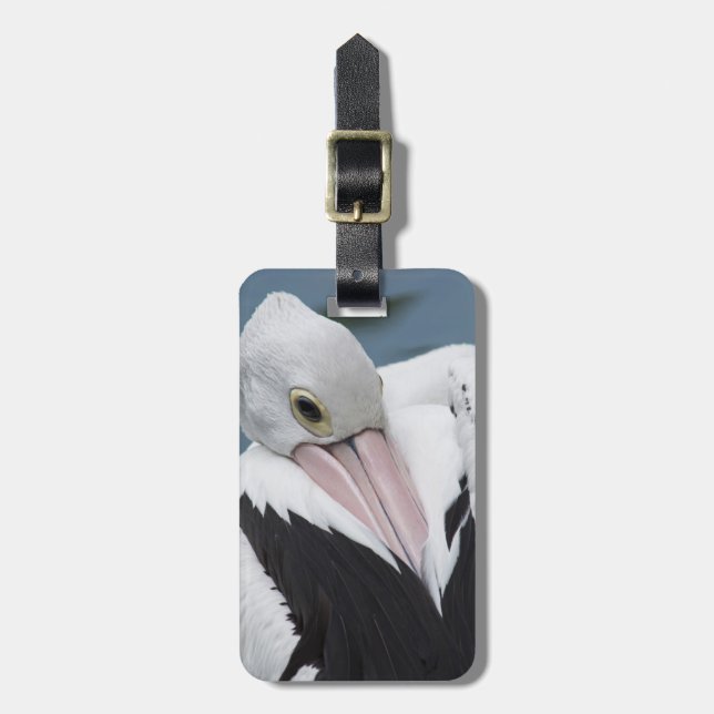 Australian pelican close up luggage tag (Front Vertical)