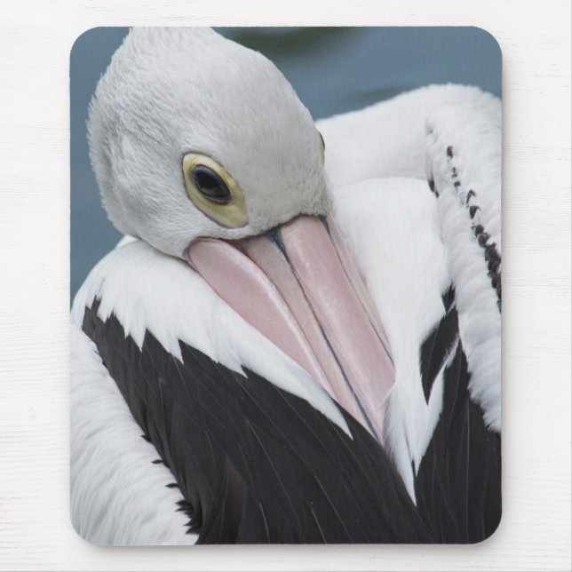 Australian pelican close up mouse mat (Front)