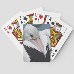 Australian pelican close up playing cards