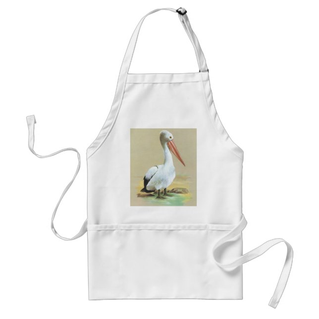 Australian Pelican  - Pelecanus conspicillatus Standard Apron (Front)