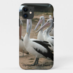 Australian Pelicans at Phillip Island iPhone 11 Case