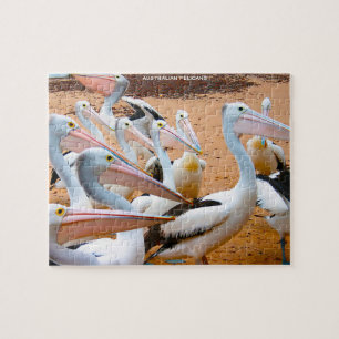Australian Pelicans Jigsaw Puzzle