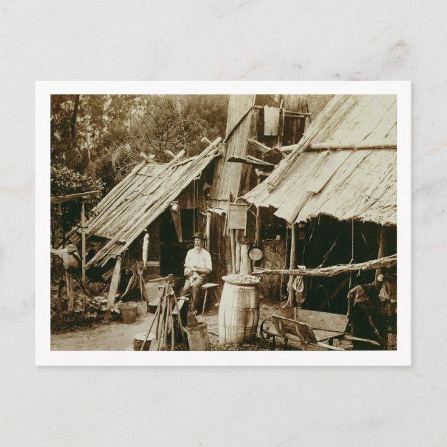 Australian prospector, c.1880s (sepia photo) postcard (Front)