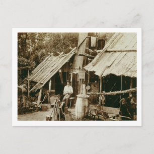 Australian prospector, c.1880s (sepia photo) postcard