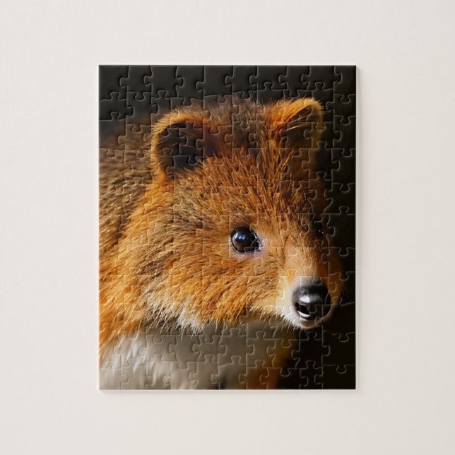 Australian Quokka Portrait, Jigsaw Puzzle (Vertical)
