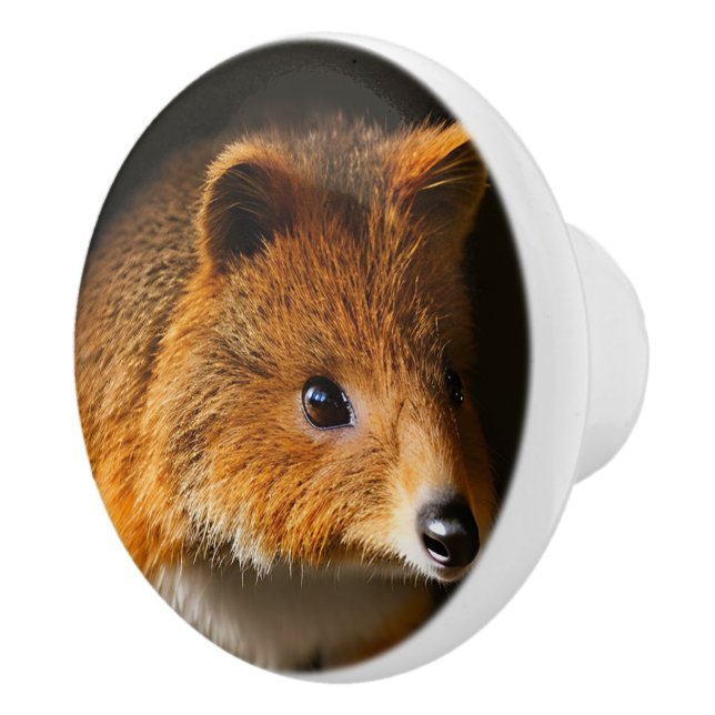 Australian Quokka Self Portrait Pose, Ceramic Knob (Right)