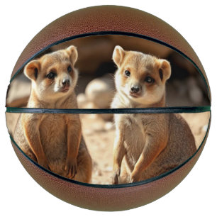 Australian Quokka Twins, Basketball