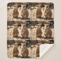 Australian Quokka Twins,