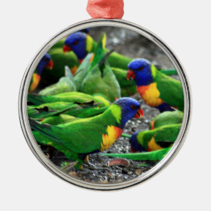 Australian Rainbow Lorikeet Birds Metal Tree Decoration