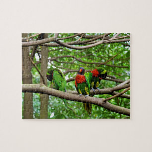 Australian Rainbow Lorikeets Jigsaw Puzzle