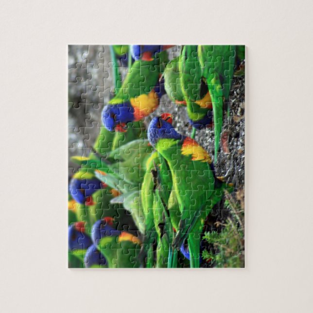 Australian Rainbow Lorikeets Jigsaw Puzzle (Vertical)