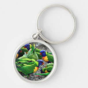 Australian Rainbow Lorikeets Key Ring
