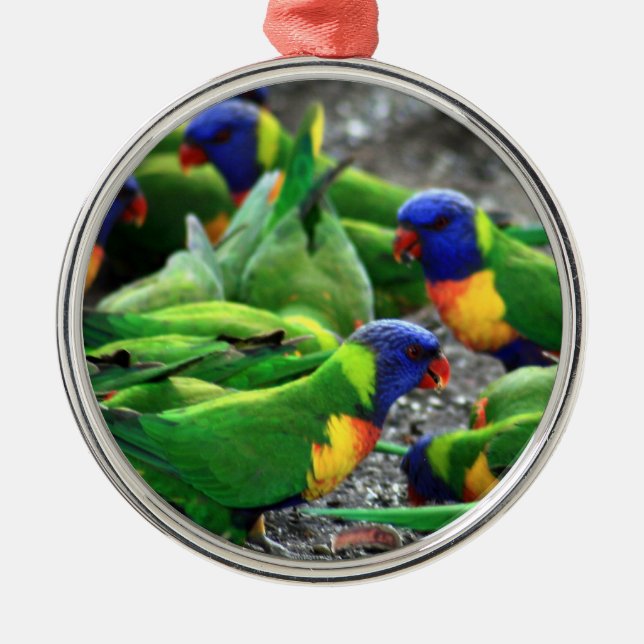 Australian Rainbow Lorikeets Metal Tree Decoration (Front)