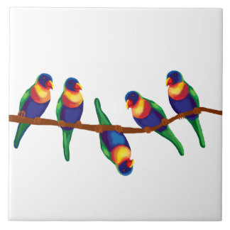 Australian rainbow lorikeets tile