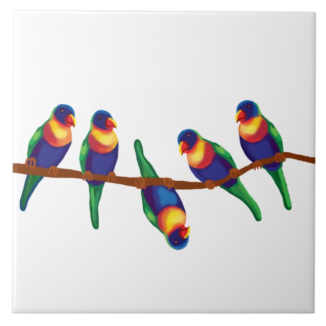 Australian rainbow lorikeets tile (Front)