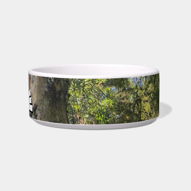 Australian Rainforest Eucalyptus Gum Trees Bowl (Right)