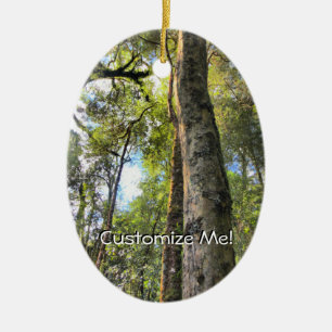 Australian Rainforest Eucalyptus Gum Trees Ceramic Tree Decoration