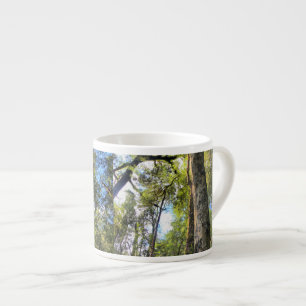 Australian Rainforest Eucalyptus Gum Trees Espresso Cup