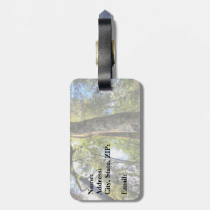 Australian Rainforest Eucalyptus Gum Trees Luggage Tag