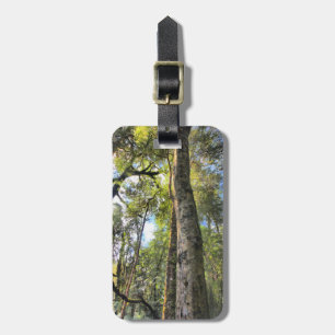 Australian Rainforest Eucalyptus Gum Trees Luggage Tag