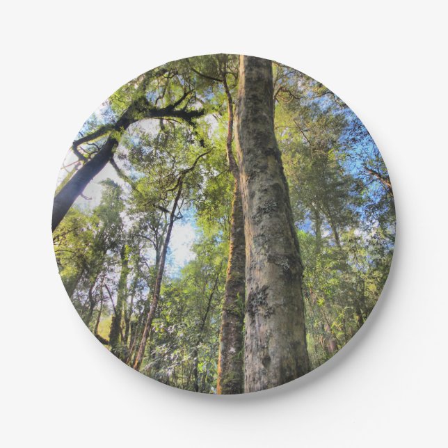 Australian Rainforest Eucalyptus Gum Trees Paper Plate (Front)