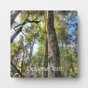 Australian Rainforest Eucalyptus Gum Trees Plaque
